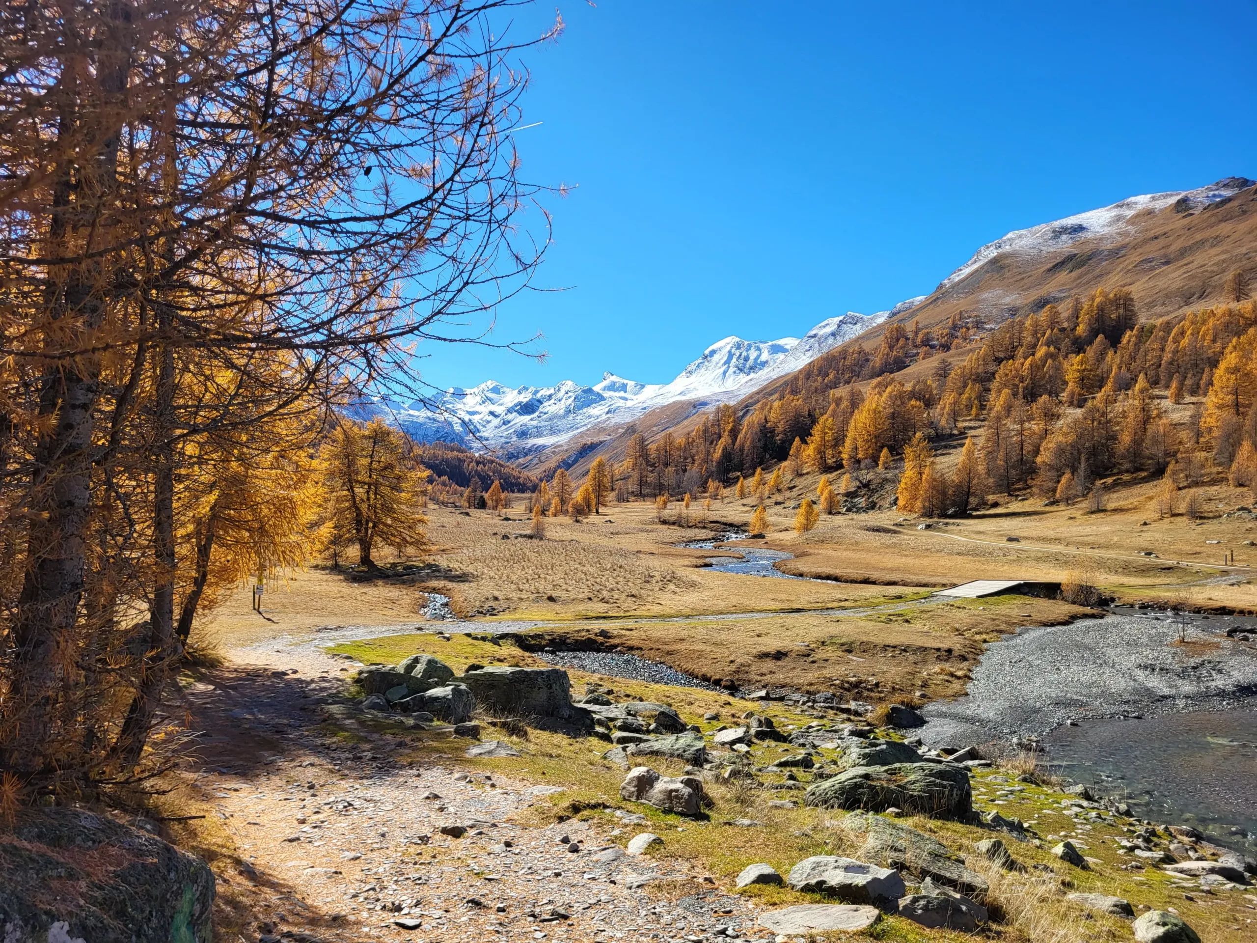 Paysage alpin automnal avec montagnes enneigées.