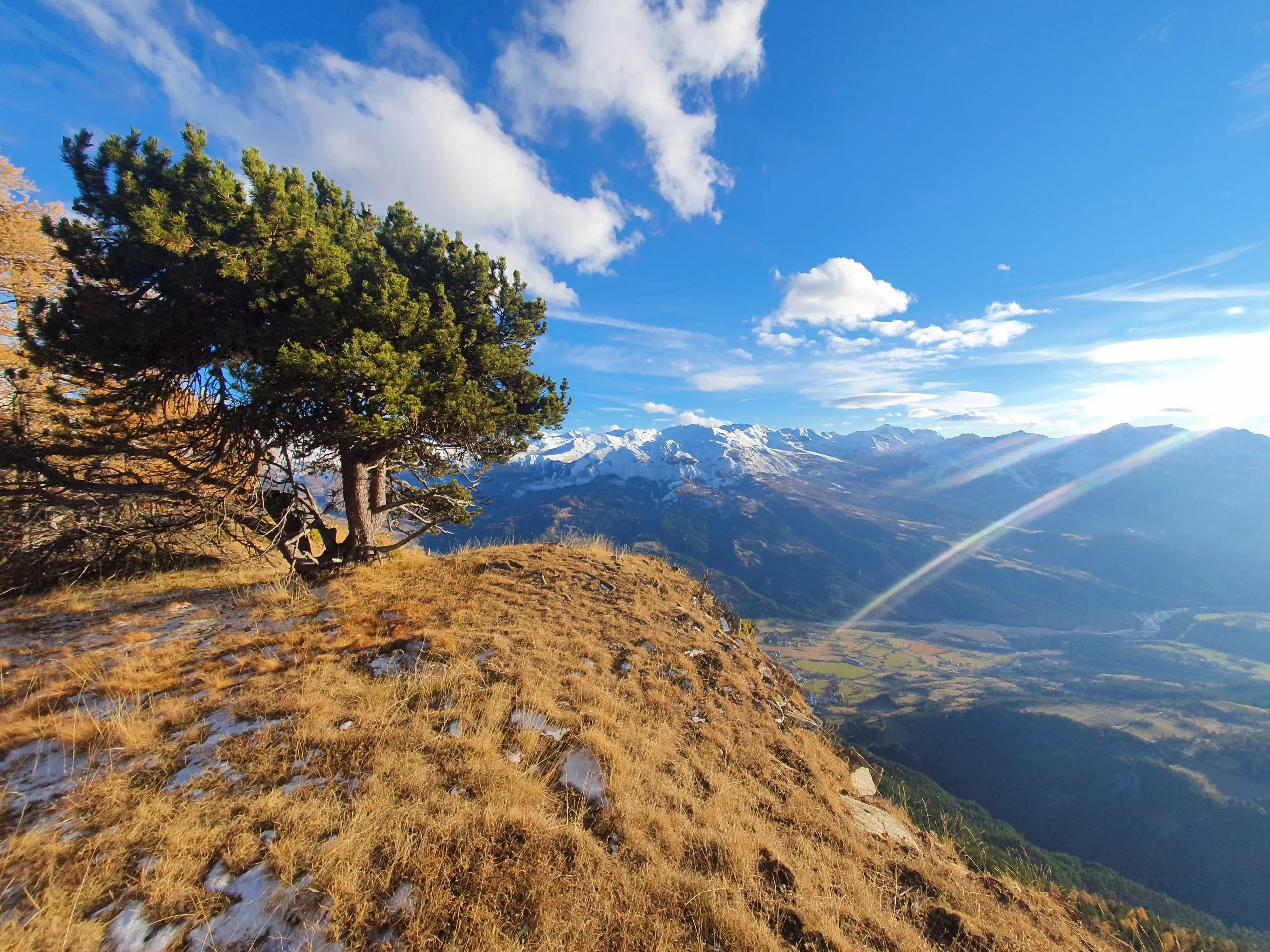 Paysage montagneux ensoleillé avec arbre et vallée.